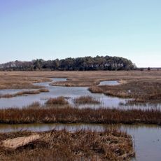 Eastern Shore of Virginia National Wildlife Refuge