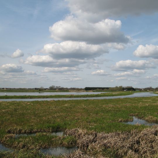 Lakenheath Fen RSPB reserve