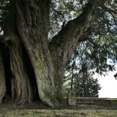 If séculaire de Lalacelle