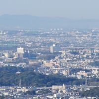 Habikino