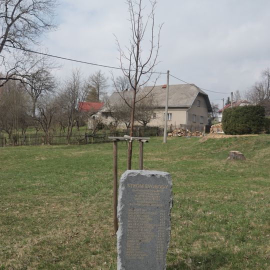 Strom svobody ve Stružinci