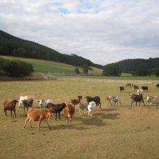 Rumketal einschließlich Altenhellefelder Bachtal