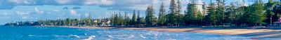 Panoramic View 1