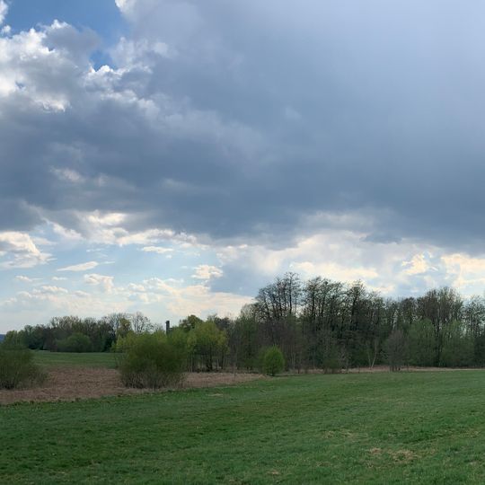 Feuchtgebiet in den Holzwiesen