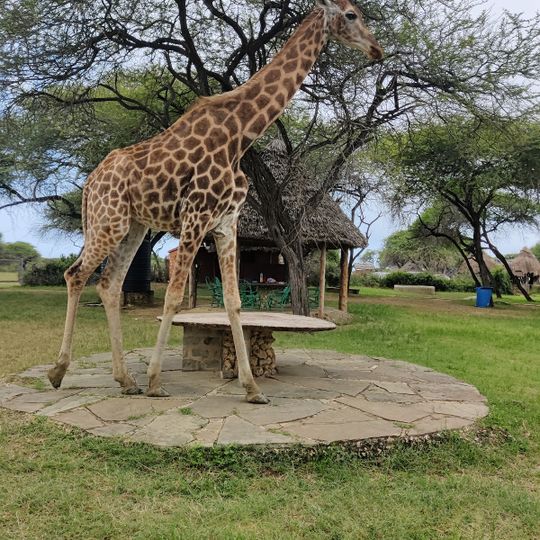 Nguuni Nature Sanctuary