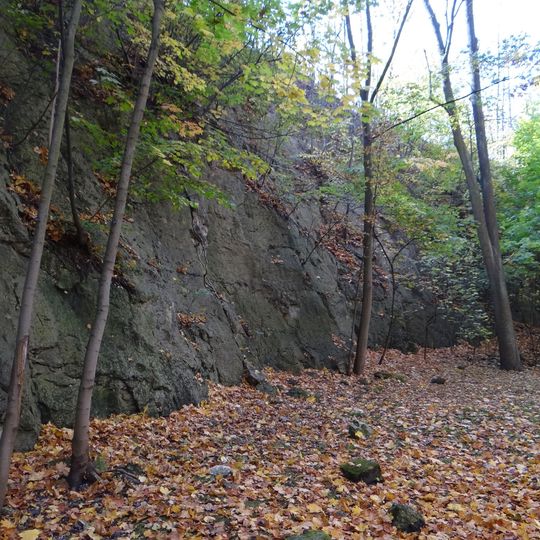 Szkoła Twardowskiego