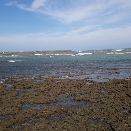 Taoyuan Guanxin Algal Reefs Ecosystem Wildlife Refuge