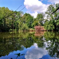 Röhrig von Rodenbach