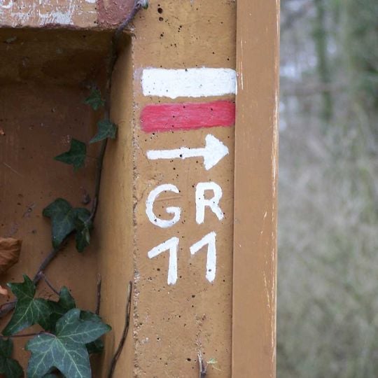 GR 11