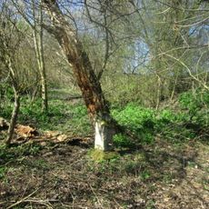 Kříž severně od Skupče u rozcestí