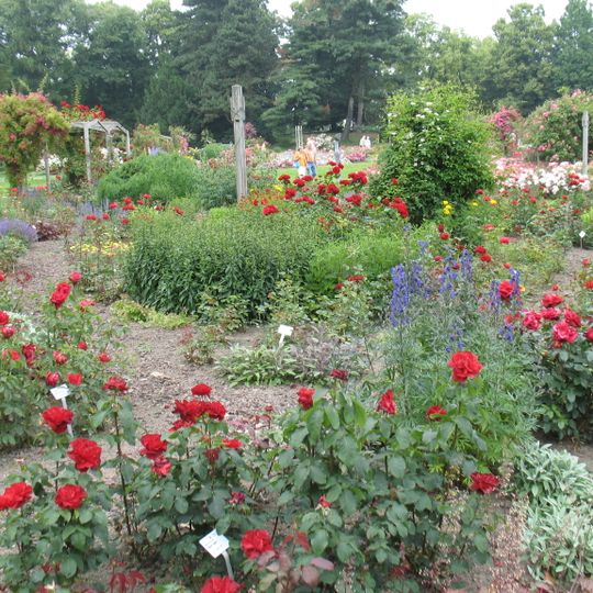 Deutsches Rosarium