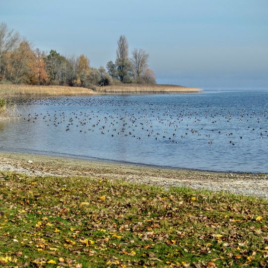Bodenseeufer