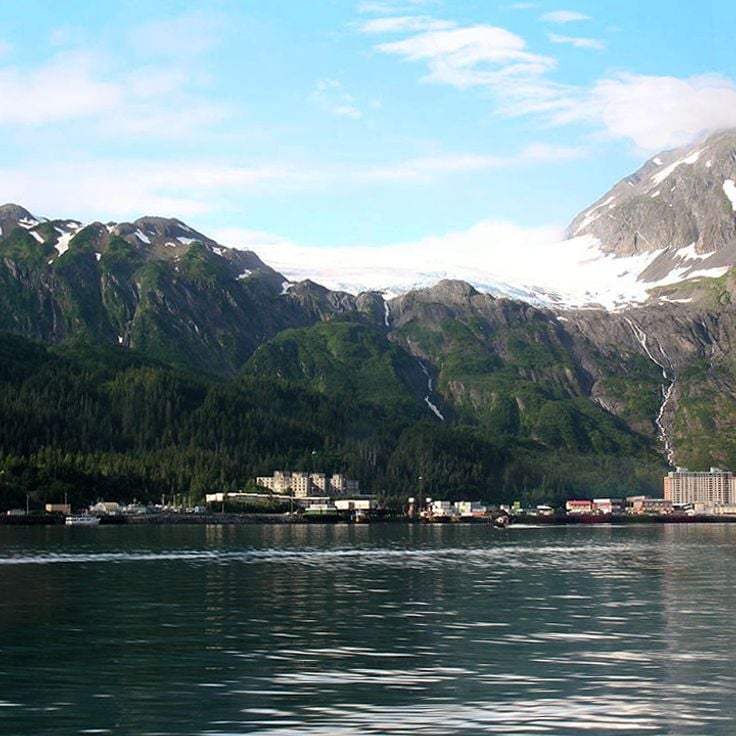 Wal Fjord
