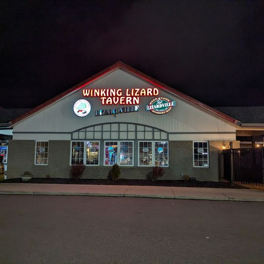 Winking Lizard