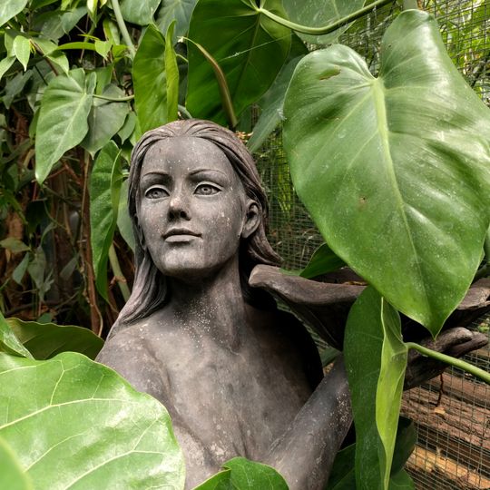 Vlinders aan de Vliet