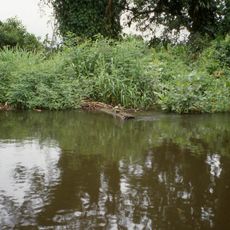 Reserva de la biosfera de Río San Juan