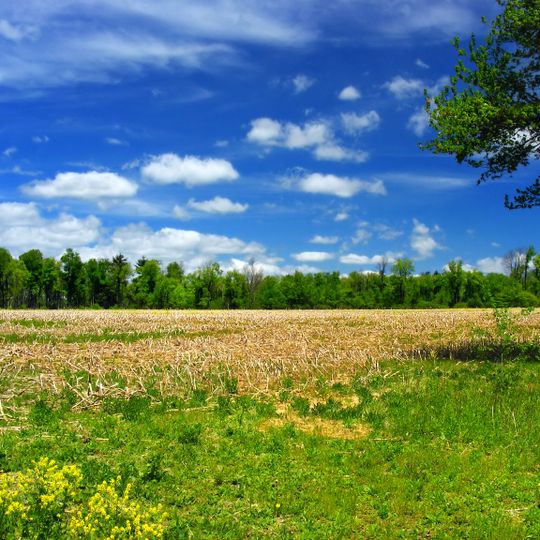 Tunkhannock Township