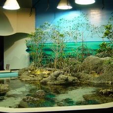 Oklahoma Aquarium