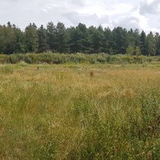 Terrein waarin sporen van bewoning