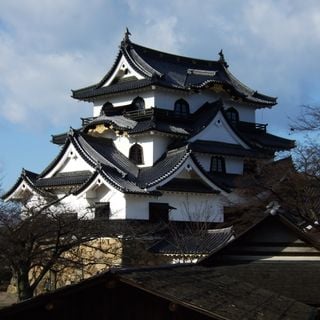 Castello di Hikone