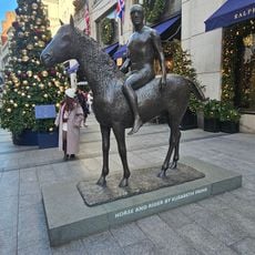 Horse and Rider