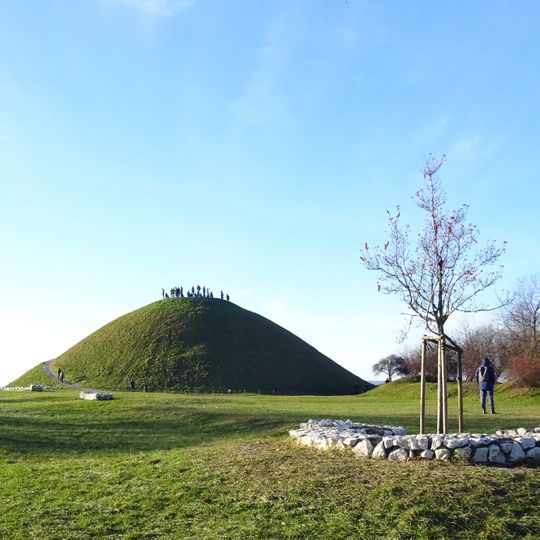 Citadel Fort 33 Krakus