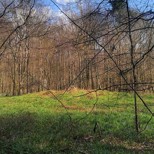 Bowl barrow in King's Wood, Wye