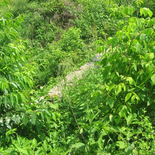 Wabash and Erie Canal Culvert No. 100