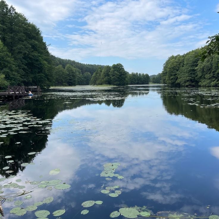 Suwałki Peyzaj Parkı