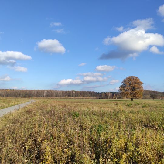 Distretto di Łódź Est