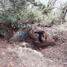 Dolmen du Coll de la Creu