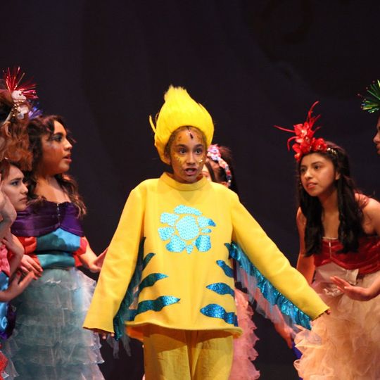 Edgewood Fine Arts Academy