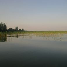 Соминець