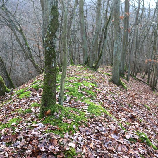 Abschnittswall Burgener Druidenstein