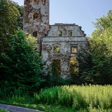 Zamek w Jędrzychowicach