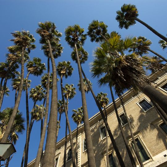 Museo Provincial de Bellas Artes