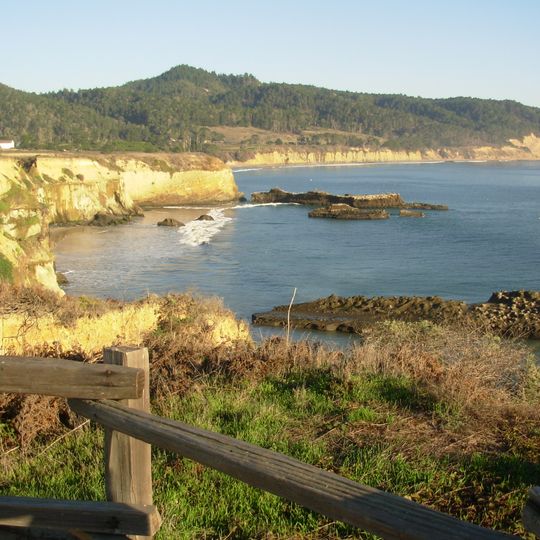 Año Nuevo State Park