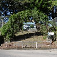 Hiyoshi-chō Yoshitoshi