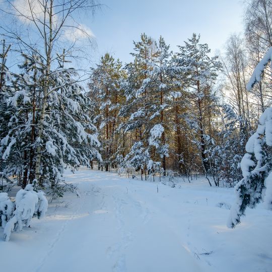 Myklashevshchyna botanical reserve