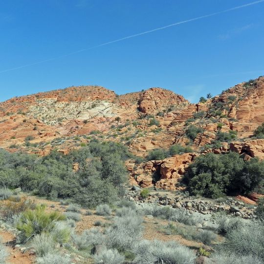 Cottonwood Canyon Wilderness