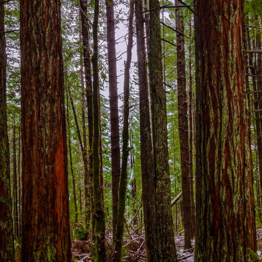 California Coast Ranges Biosphere Reserve