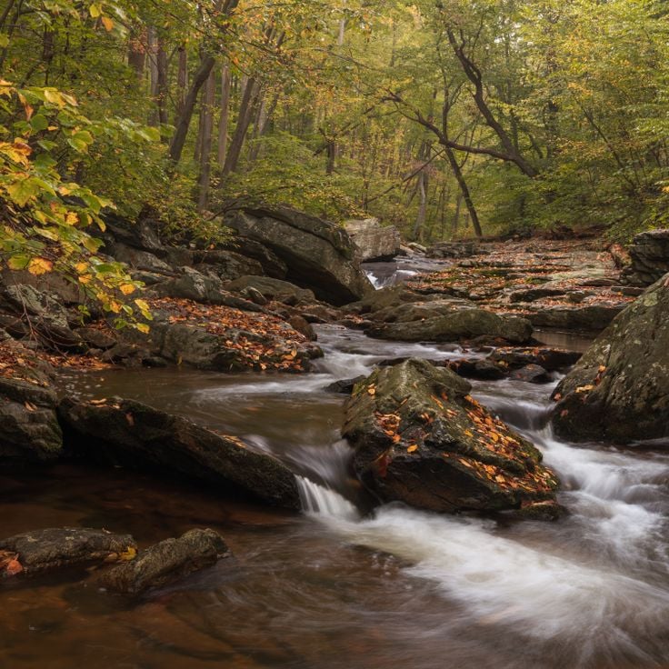 Parc d'État de Cunningham Falls