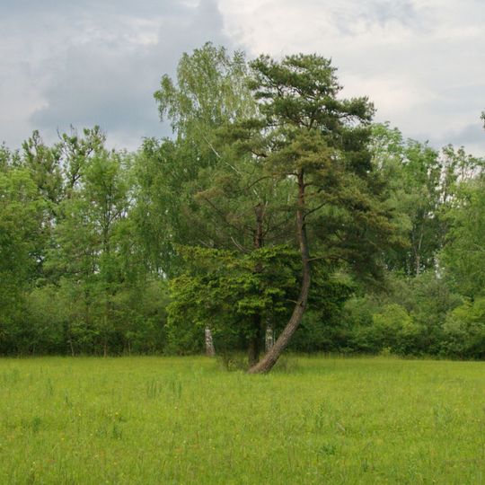Kuhseeheide