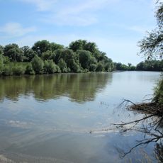 Vogelfreistätte Graureiherkolonie bei Kleinschwarzach
