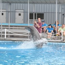 Institute For Marine Mammal Studies