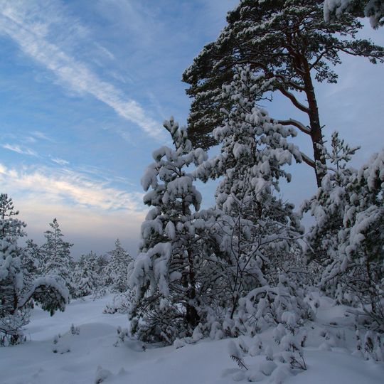 Lindi Nature Reserve