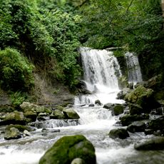 Park Narodowy Juan Crisóstomo Falcón