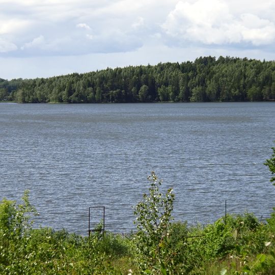 Måsnaren