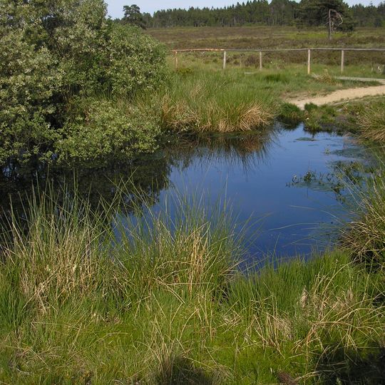 Mire of Malchamps