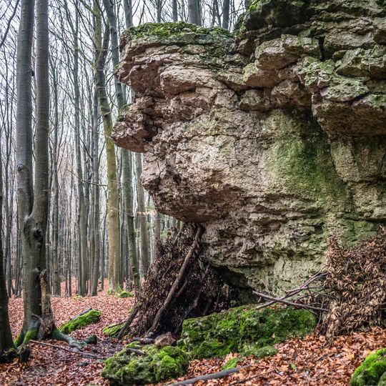 Bodendenkmal D-4-6032-0066 Litzendorf